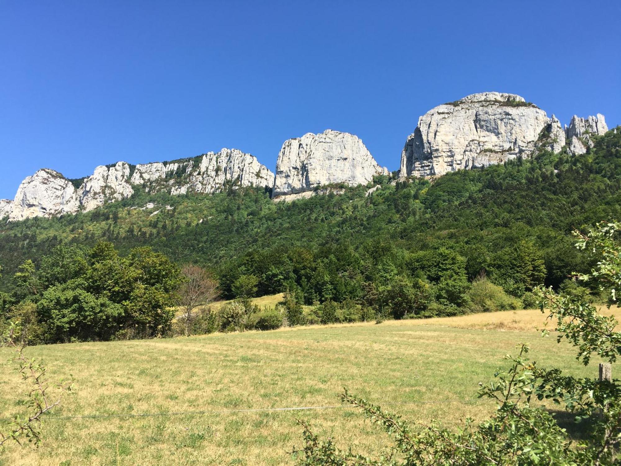La Villa De Lise Romans-sur-Isère Eksteriør billede